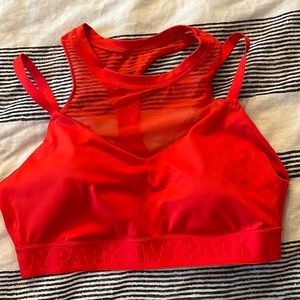 Ivy Park- High Neck Sheer Bra
